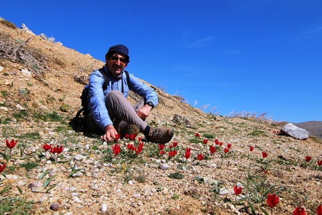 Yılda sadece bir kez açıyor! Koparanlara 109 bin lira ceza