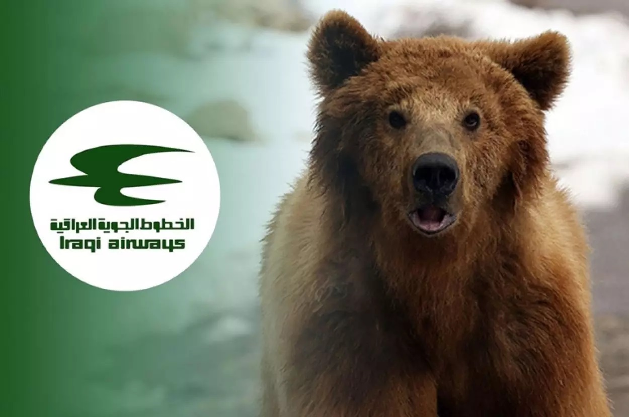 Yolcu uçağında ayı paniği! Kafesini kırarak ortalığı birbirine kattı