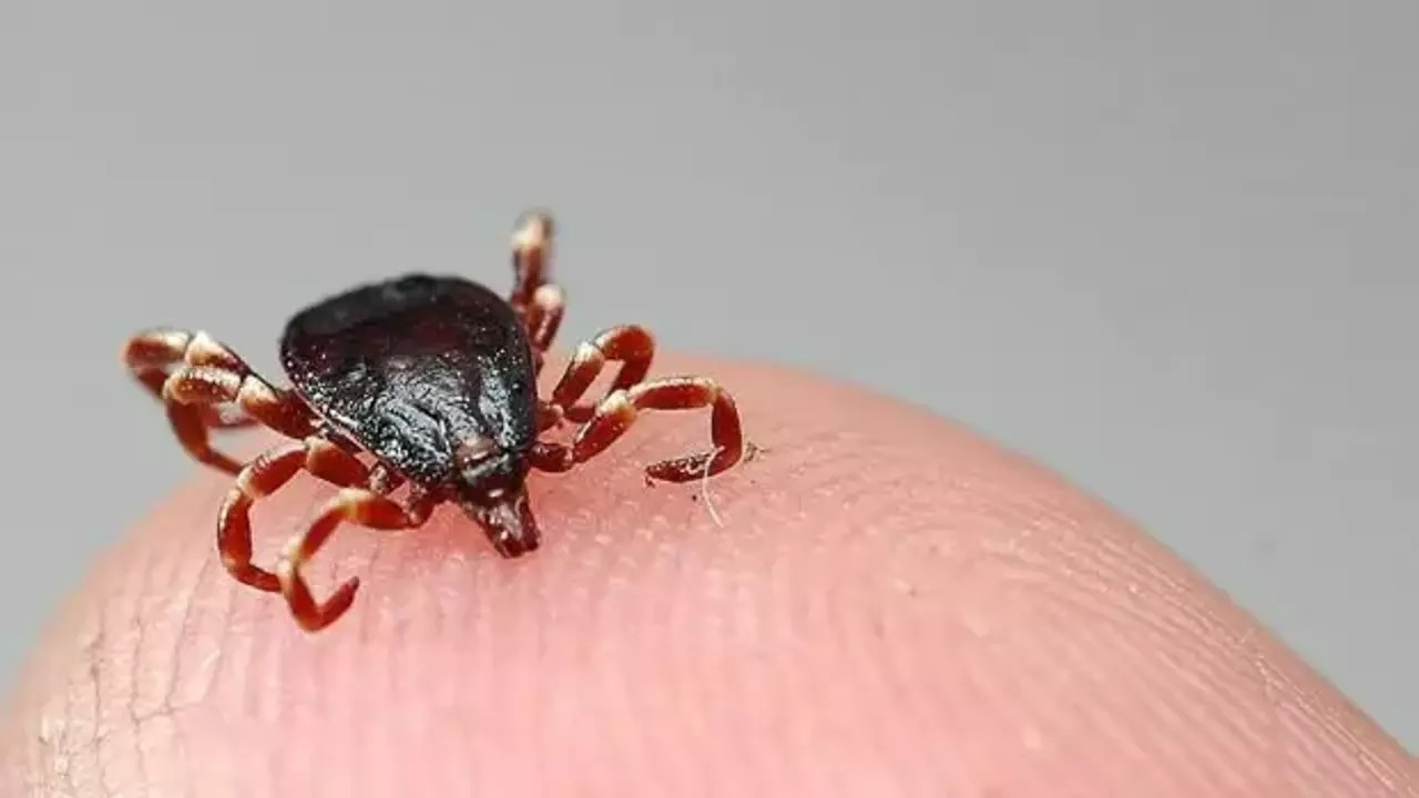 Yozgat! KKKA hastalığı şüphesiyle tedavi gören kişi öldü