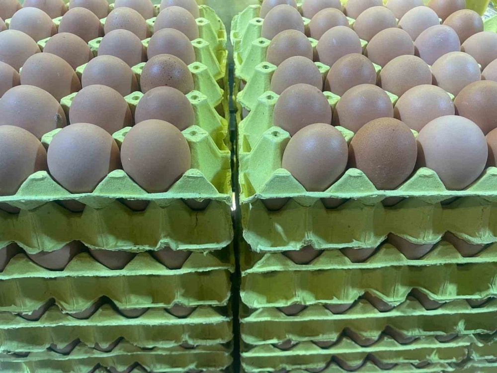 Yumurta Fiyatları Düşüşe Geçti
