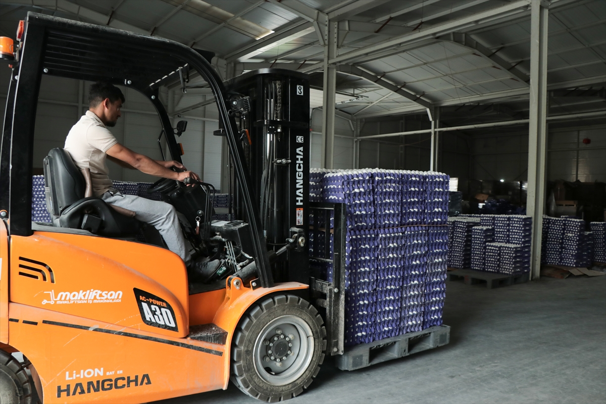 Yumurta fiyatları "mayıs çukuru"na yuvarlandı