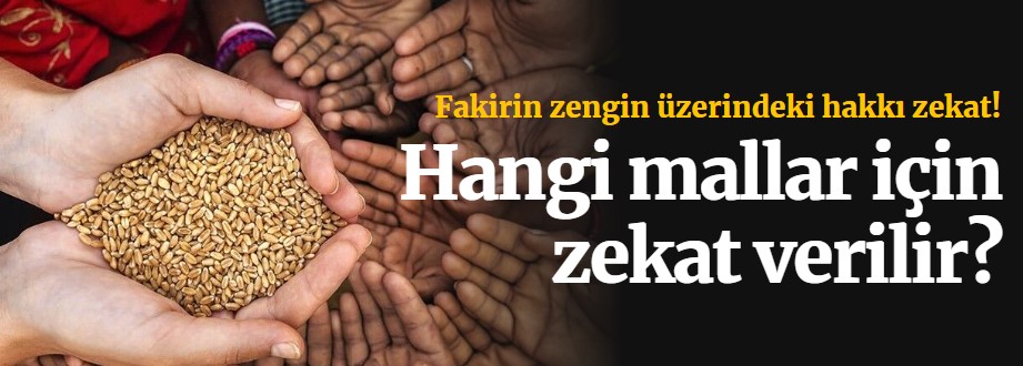 Zekat düşen mallar nelerdir?