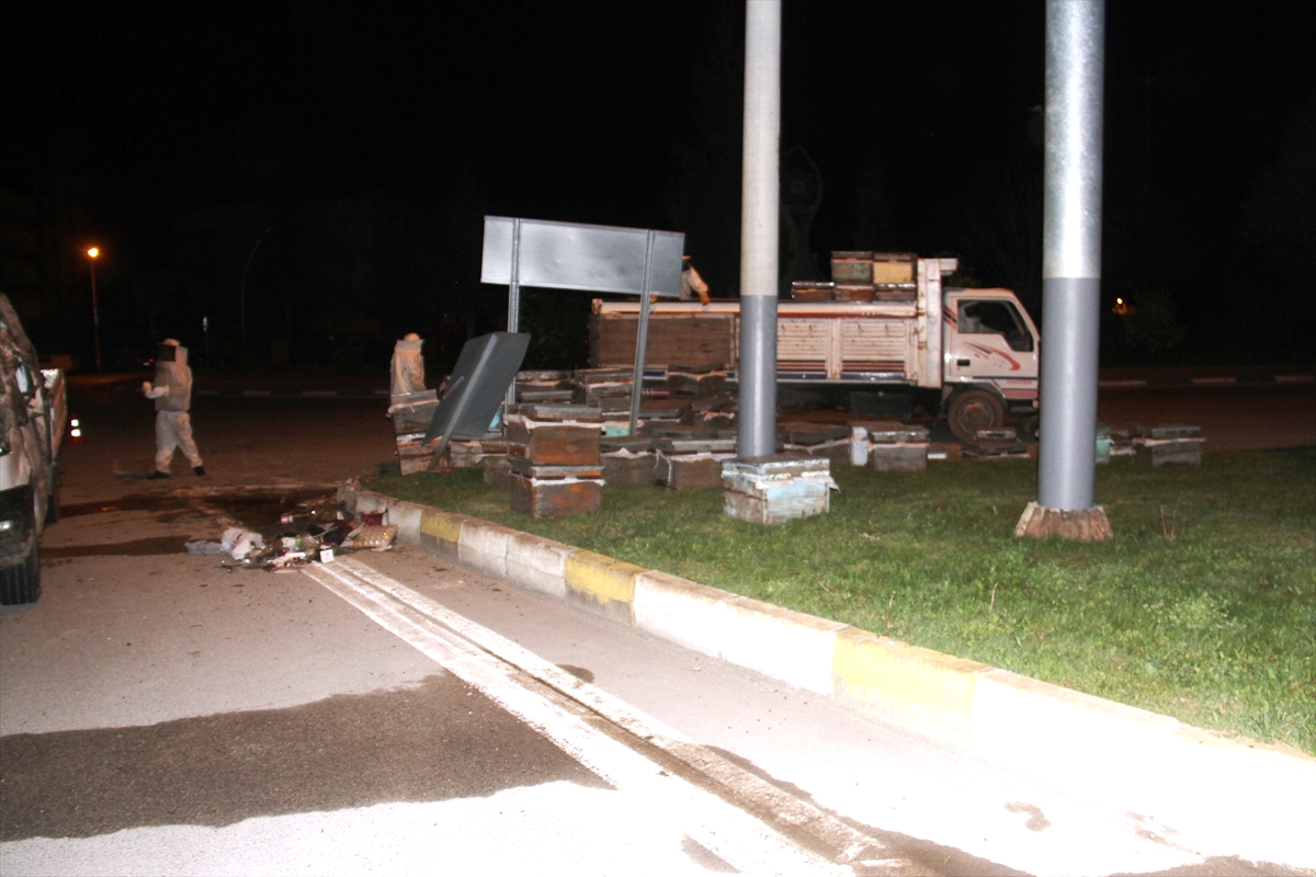 Beyşehirde  arı kovanı yüklü kamyonet devrildi - Görsel 1