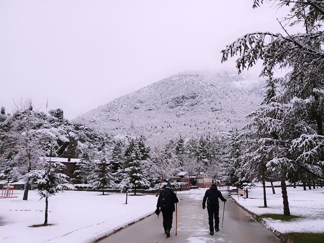 40 Yaşından Sonra Yürüyüşün Şaşırtıcı Faydaları: Her Adımınız Sağlığınıza Yatırım! - Görsel 3