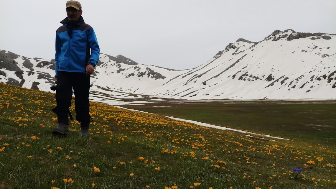 40 Yaşından Sonra Yürüyüşün Şaşırtıcı Faydaları: Her Adımınız Sağlığınıza Yatırım! - Görsel 4
