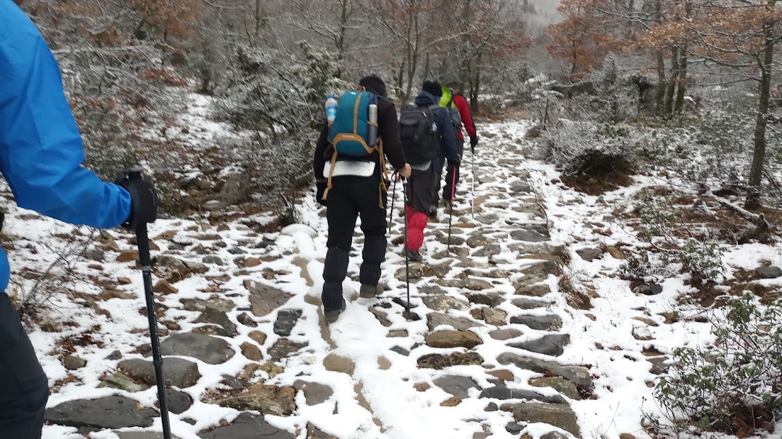 40 Yaşından Sonra Yürüyüşün Şaşırtıcı Faydaları: Her Adımınız Sağlığınıza Yatırım! - Görsel 5