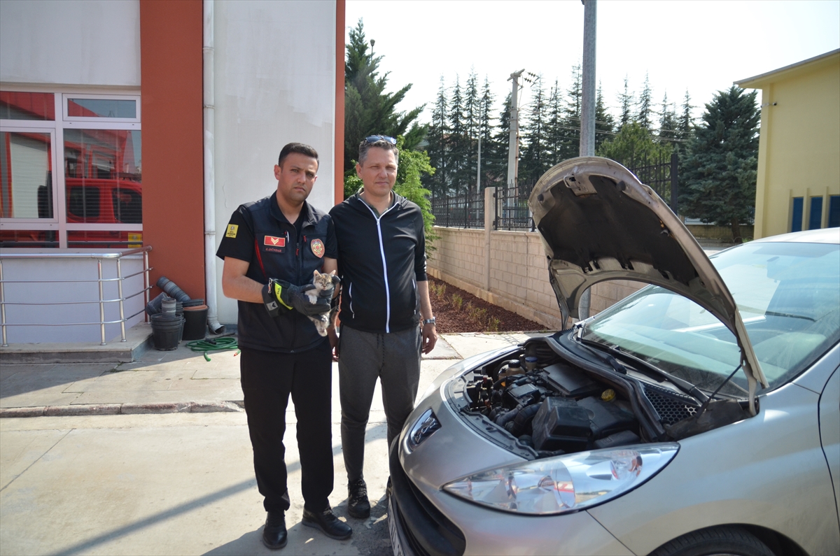 Arabada sıkışan kediyi kurtaran itfaiye memuru ve araç sahibi o anları anlattı - Görsel 2