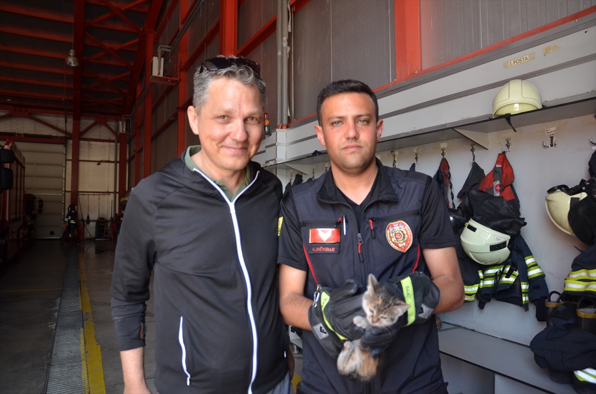 Arabada sıkışan kediyi kurtaran itfaiye memuru ve araç sahibi o anları anlattı - Görsel 4