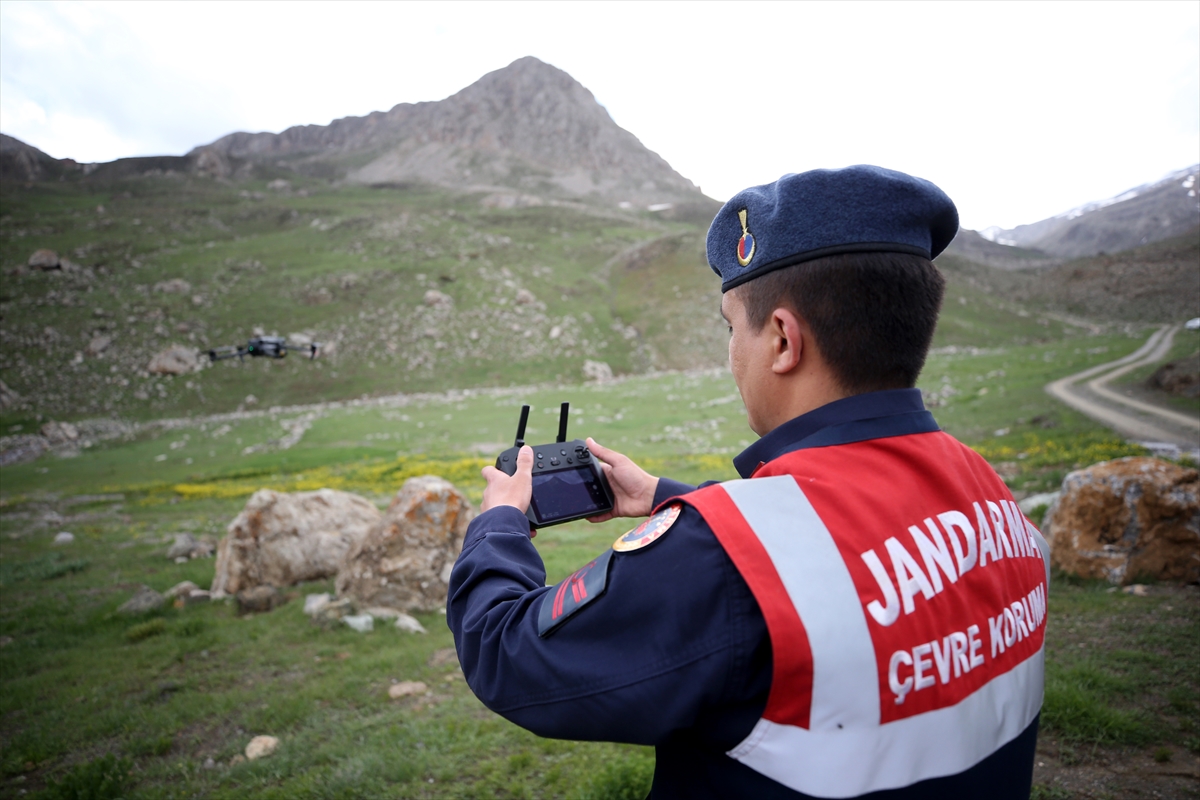 Jandarma ekipleri endemik bitkilerin korunması için görevde - Görsel 1