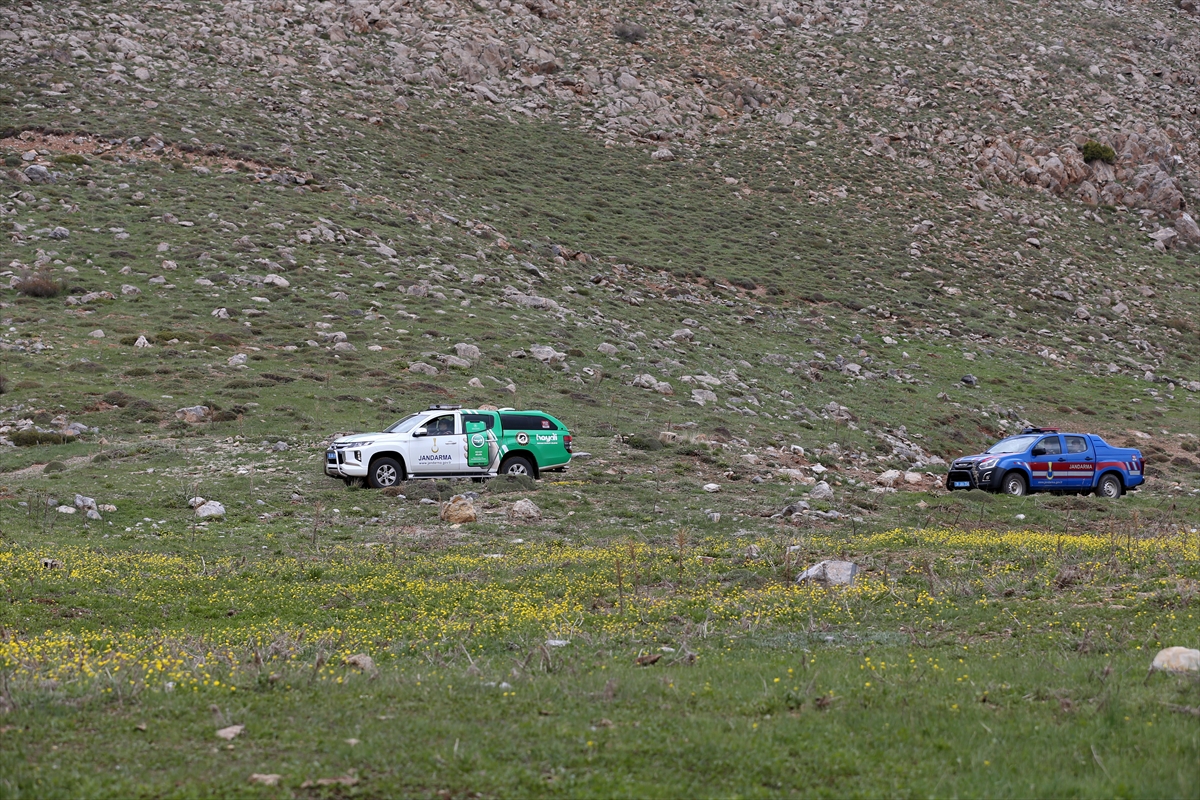 Jandarma ekipleri endemik bitkilerin korunması için görevde - Görsel 6