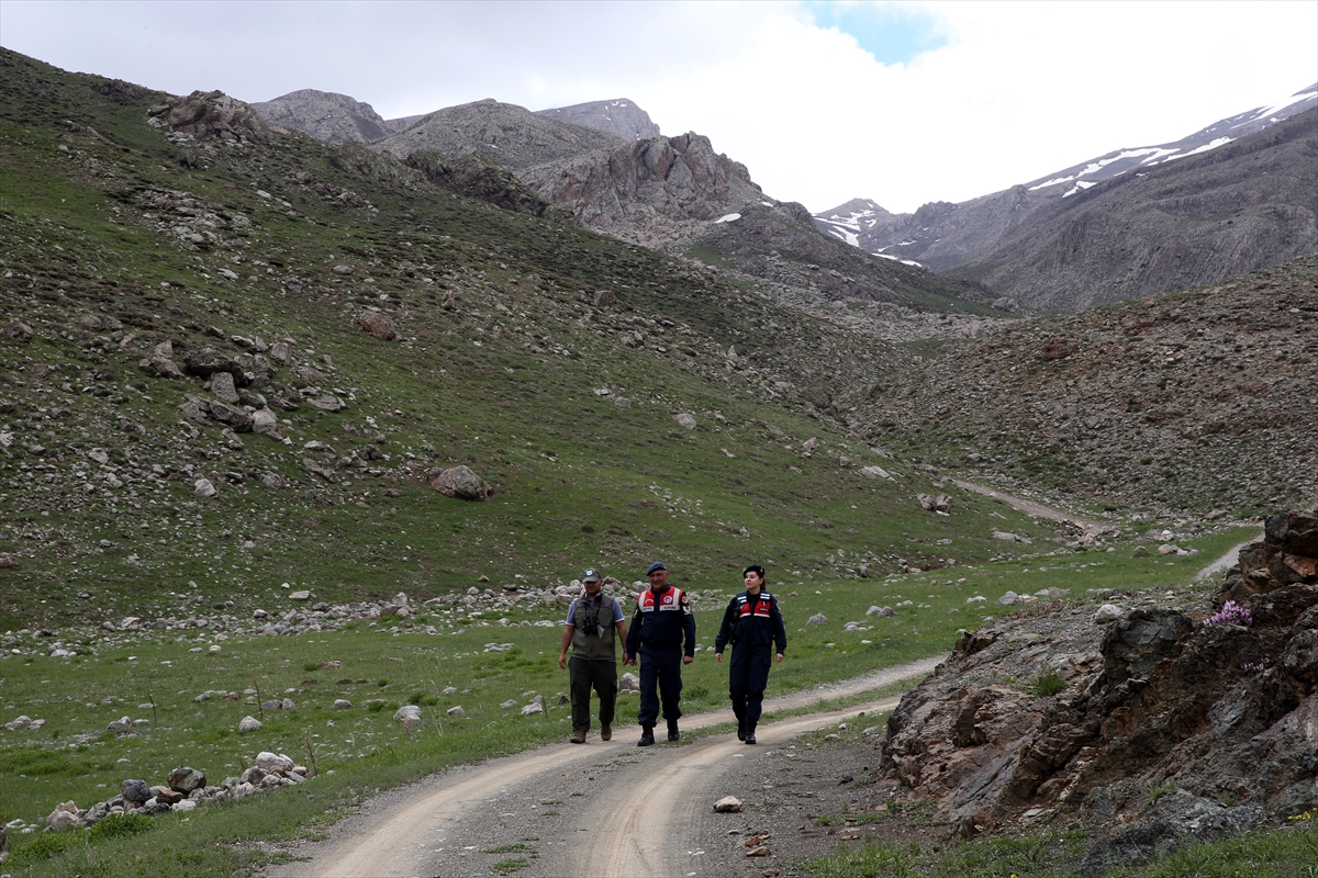 Jandarma ekipleri endemik bitkilerin korunması için görevde - Görsel 8