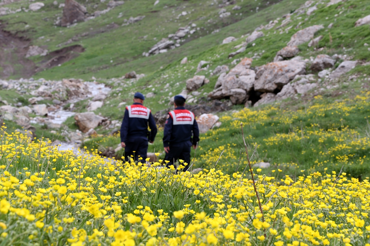 Jandarma ekipleri endemik bitkilerin korunması için görevde - Görsel 13