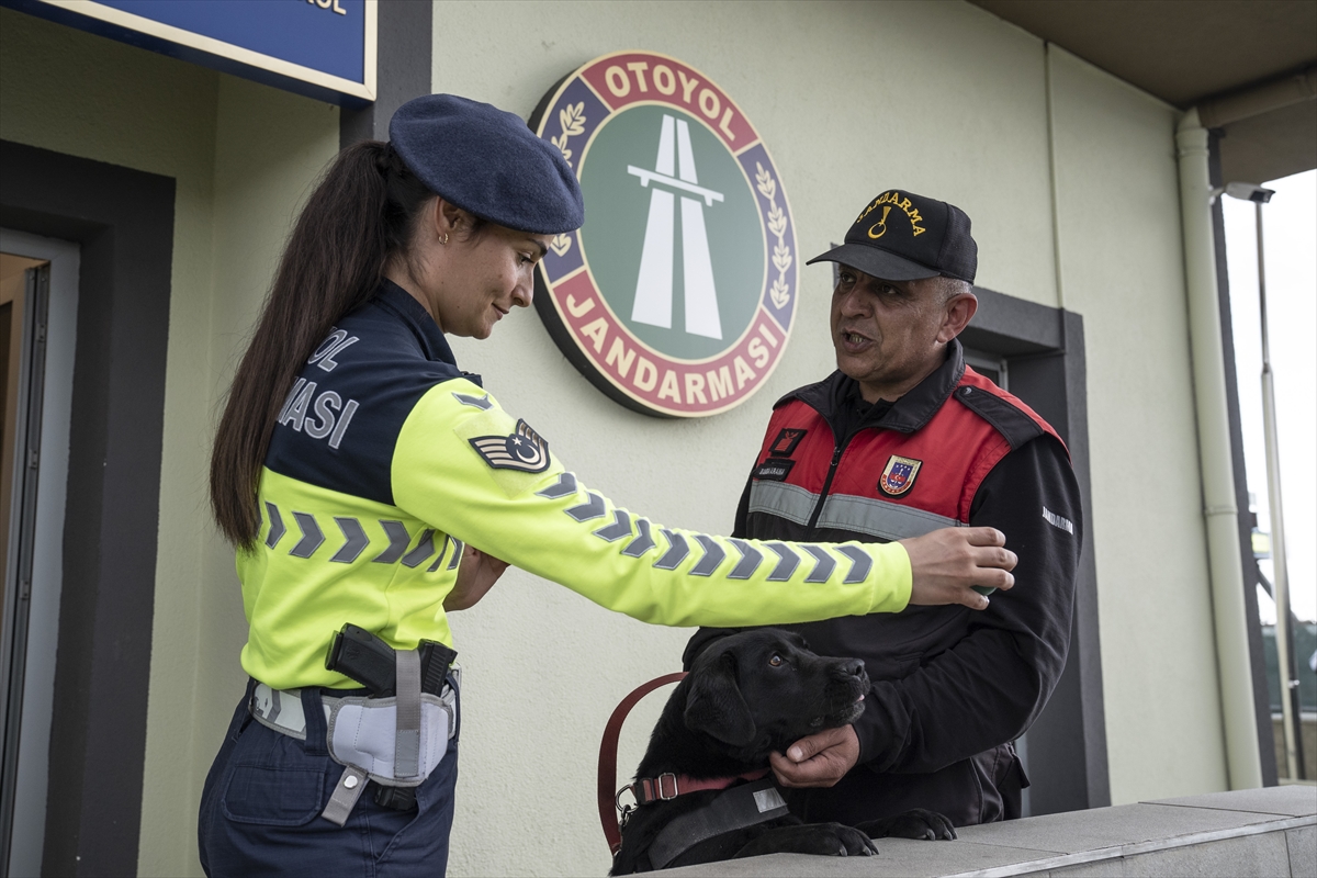 Otoyollarda yapay zeka destekli radar cihazları devrede - Görsel 6