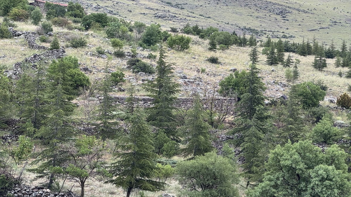 Konya'nın "Orman Dede"si son yolculuğuna uğurlandı - Görsel 2