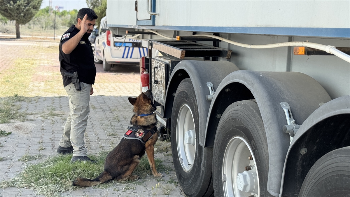 KONYA - Görevini tamamlayan emniyetin bomba arama köpeği "Artur" ekip arkadaşından ayrılmayacak - Görsel 1