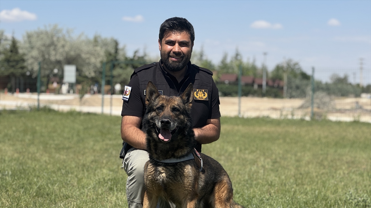 KONYA - Görevini tamamlayan emniyetin bomba arama köpeği "Artur" ekip arkadaşından ayrılmayacak - Görsel 3