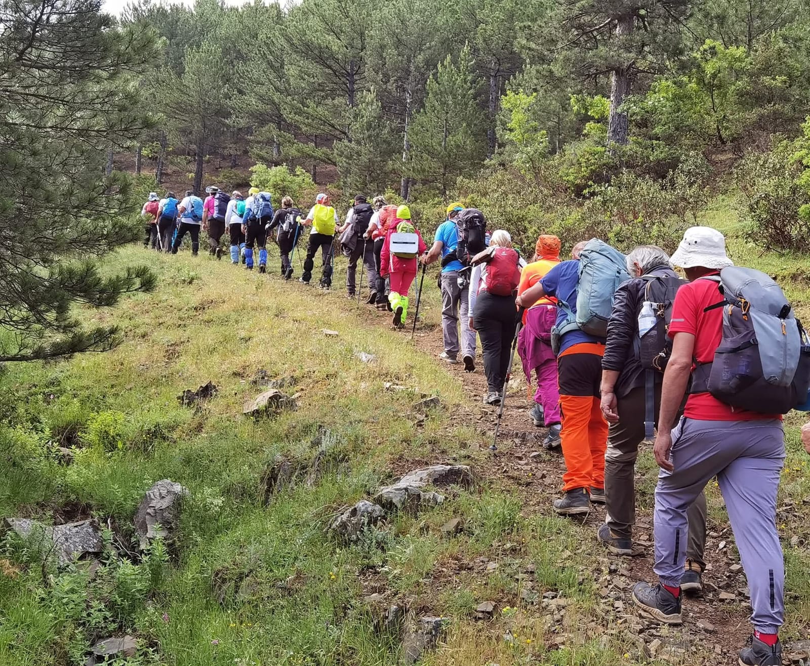 SEYDİŞEHİR’DE HOMONADA YOLU’NUN TANITIM ETKİNLİĞİ YAPILDI - Görsel 9