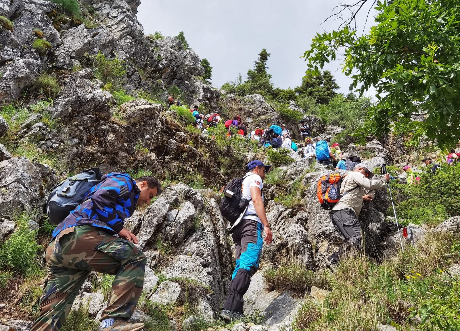 SEYDİŞEHİR’DE HOMONADA YOLU’NUN TANITIM ETKİNLİĞİ YAPILDI - Görsel 12