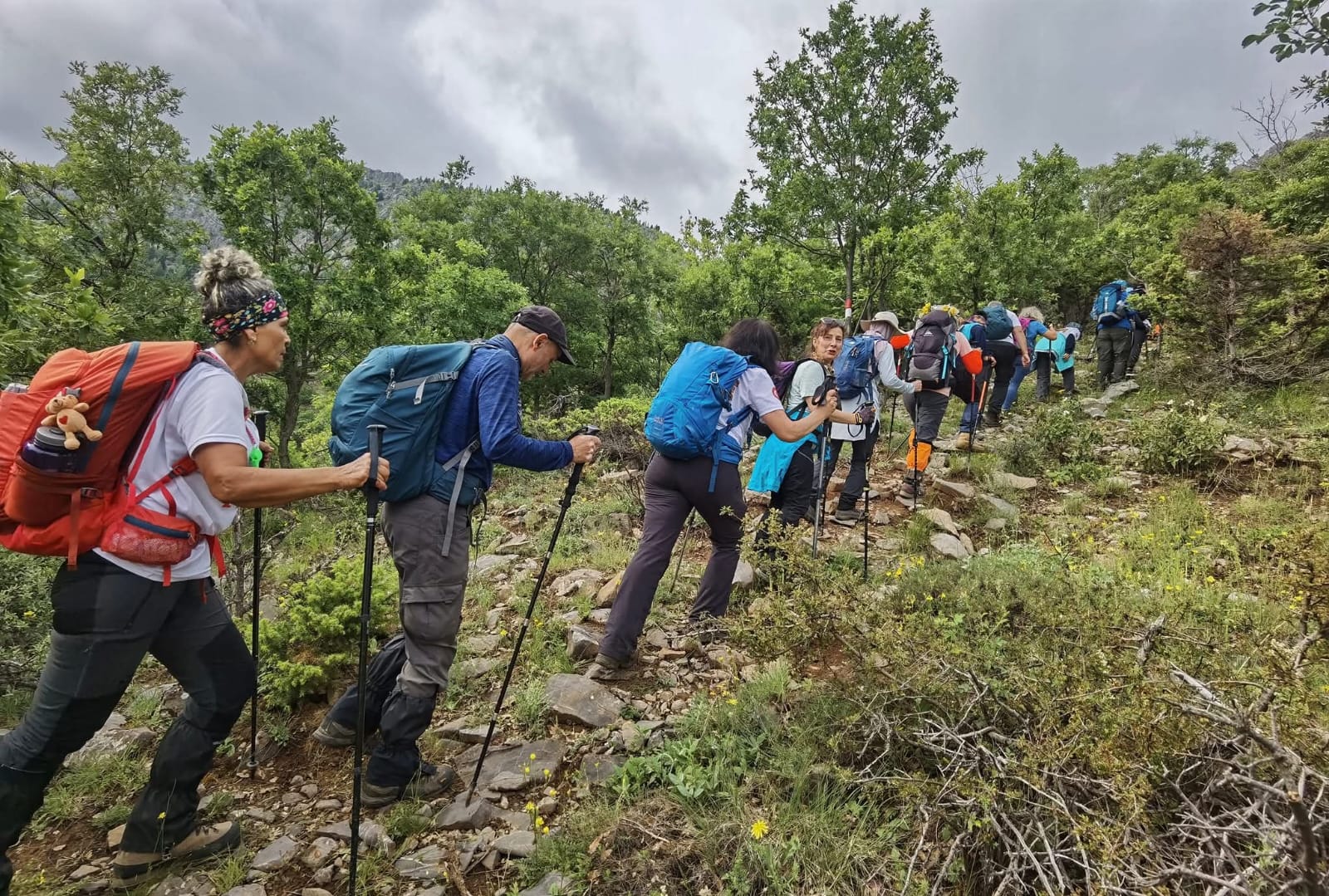 SEYDİŞEHİR’DE HOMONADA YOLU’NUN TANITIM ETKİNLİĞİ YAPILDI - Görsel 14