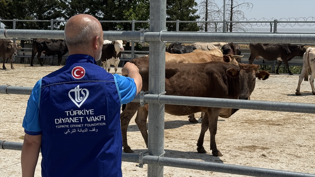 TDV, Konya'da kurban etlerini 12 bin 540 kişiye ulaştıracak - Görsel 3