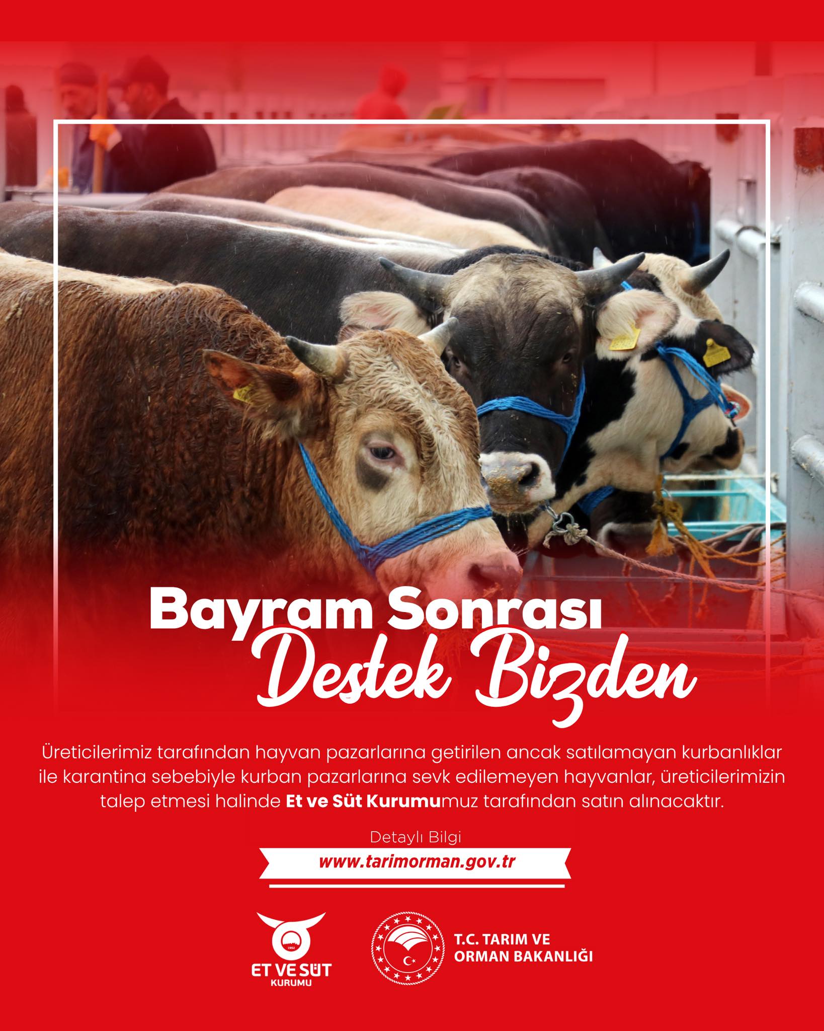 TARIM VE ORMAN BAKANI YUMAKLI’DAN KURBANLIK AÇIKLAMASI - Görsel 1