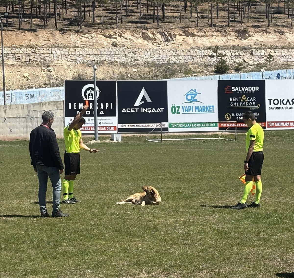 Konya'da köpeğe kırmızı kart gösteren hakem o anları anlattı - Görsel 3