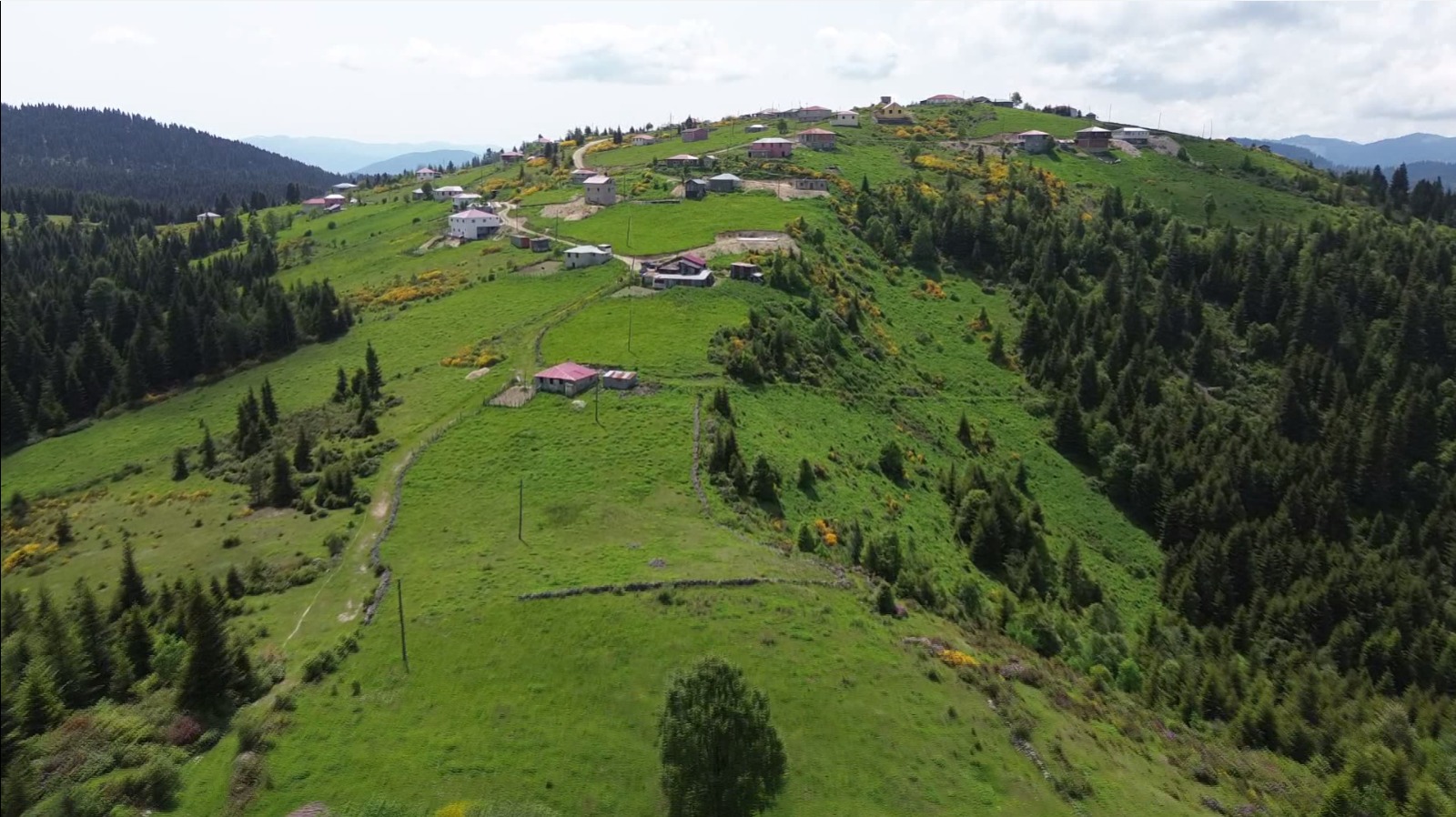 Karadeniz’de türkülü manili renkli yayla göçü(ÖZEL HABER) - Görsel 1