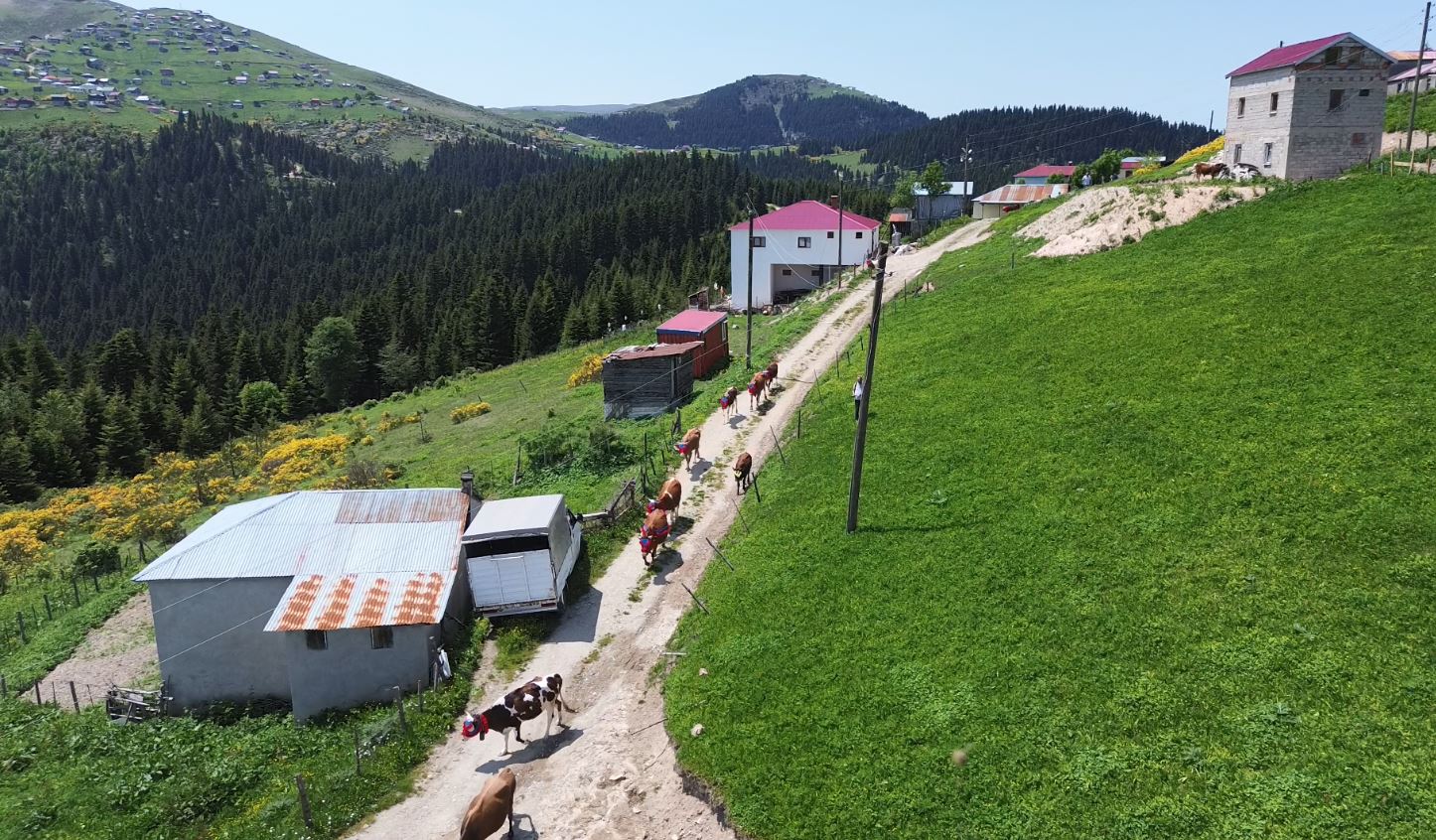 Karadeniz’de türkülü manili renkli yayla göçü(ÖZEL HABER) - Görsel 8