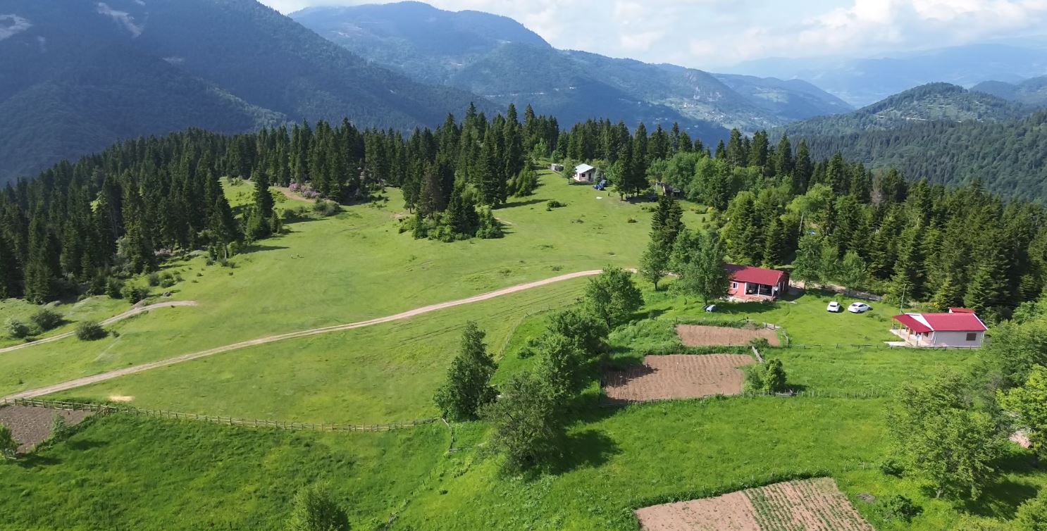 Karadeniz’de türkülü manili renkli yayla göçü(ÖZEL HABER) - Görsel 9