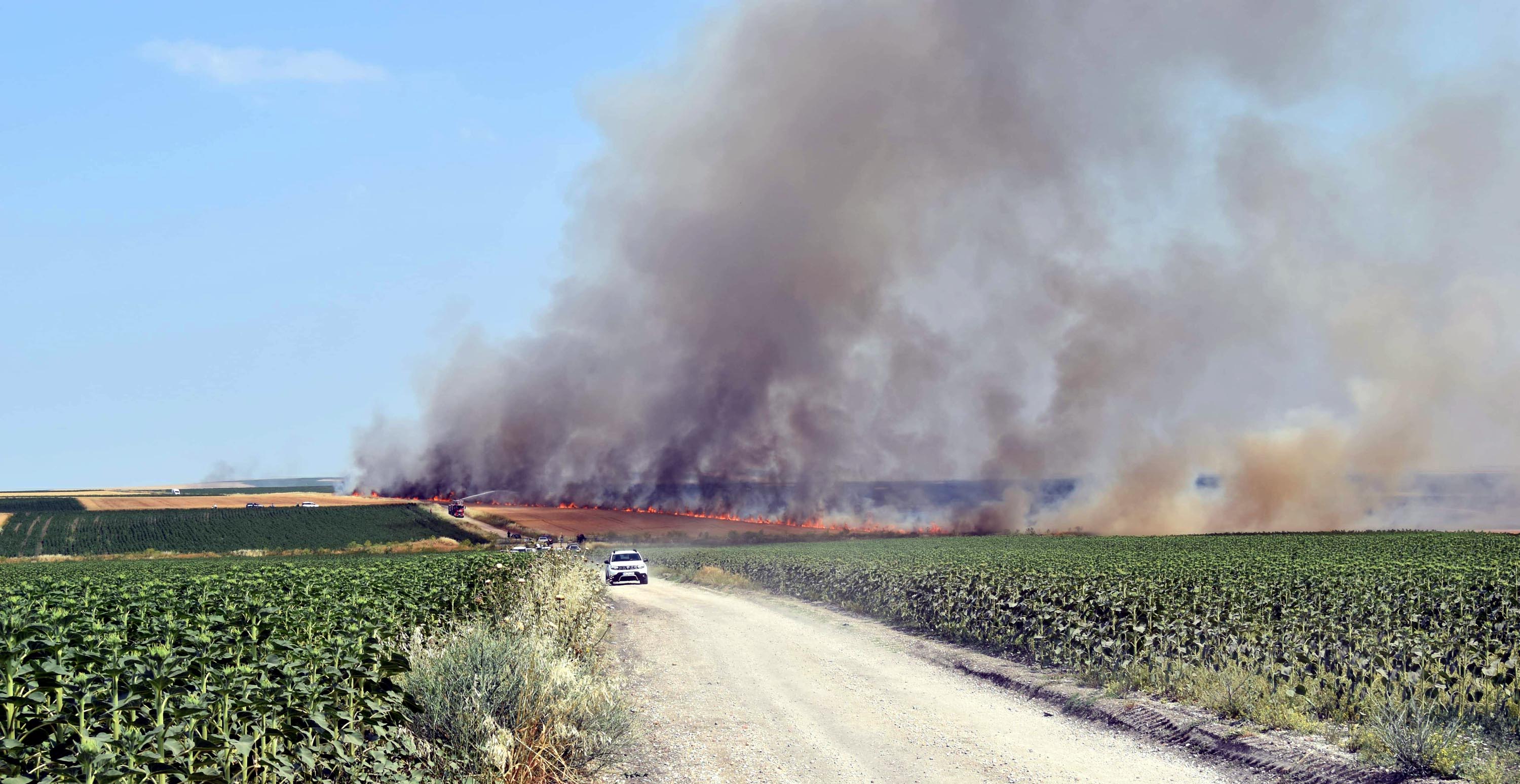 500 DÖNÜM EKİLİ ALAN ZARAR GÖRDÜ - Görsel 1