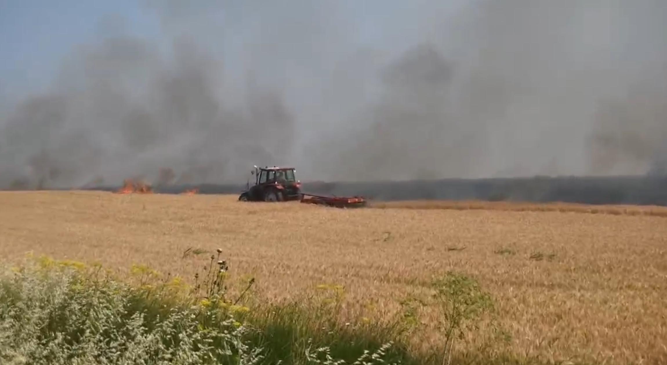 500 DÖNÜM EKİLİ ALAN ZARAR GÖRDÜ - Görsel 2