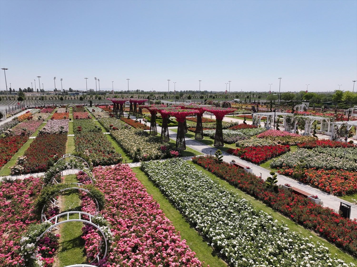 Konya'da 190 türün bulunduğu Karatay Mevlana Gül Parkı yeni sezonunu açtı - Görsel 1