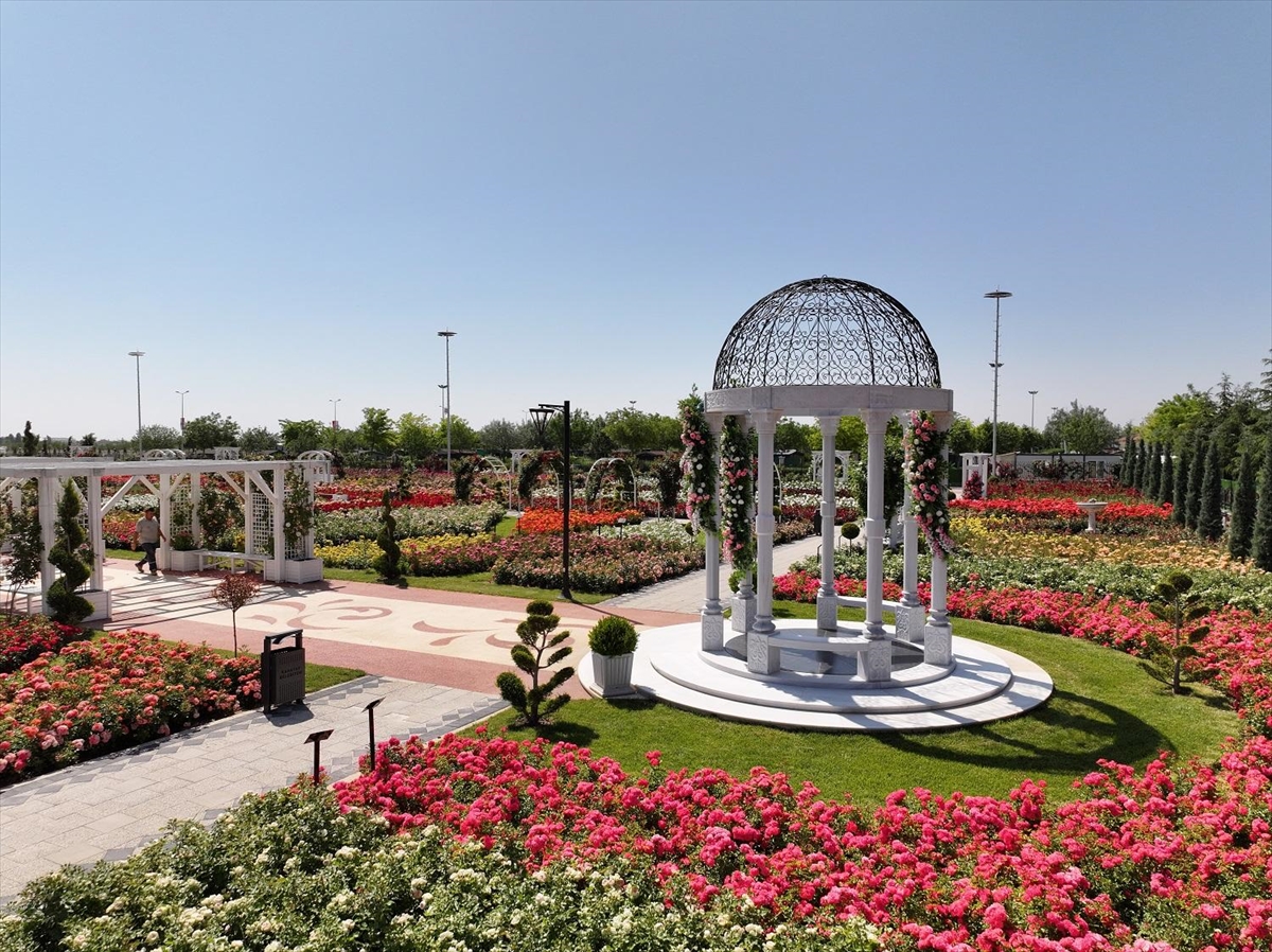 Konya'da 190 türün bulunduğu Karatay Mevlana Gül Parkı yeni sezonunu açtı - Görsel 2