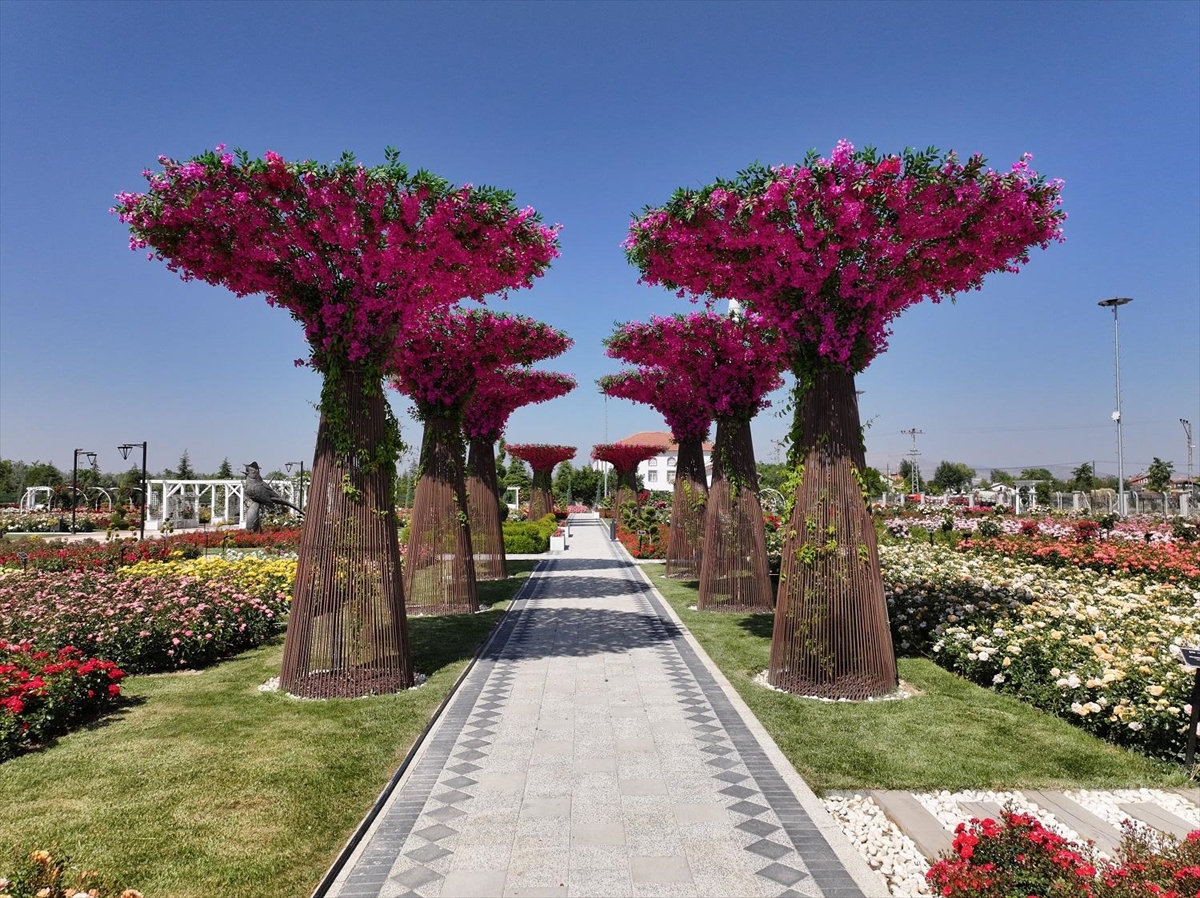 Konya'da 190 türün bulunduğu Karatay Mevlana Gül Parkı yeni sezonunu açtı - Görsel 4