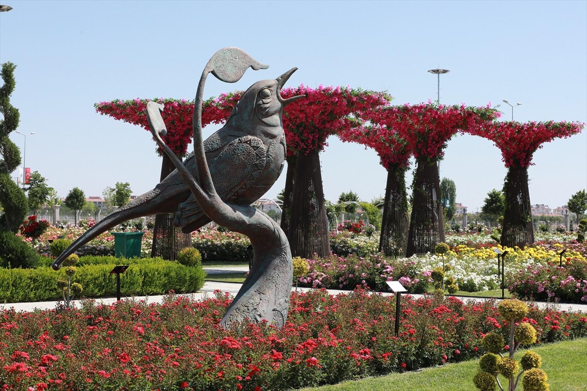 Konya'da 190 türün bulunduğu Karatay Mevlana Gül Parkı yeni sezonunu açtı - Görsel 7