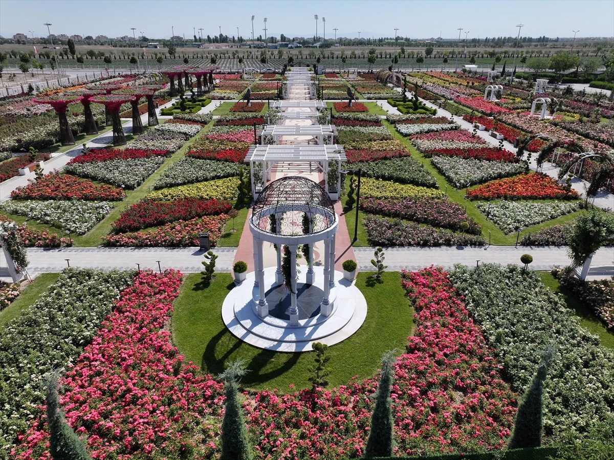 Konya'da 190 türün bulunduğu Karatay Mevlana Gül Parkı yeni sezonunu açtı - Görsel 8