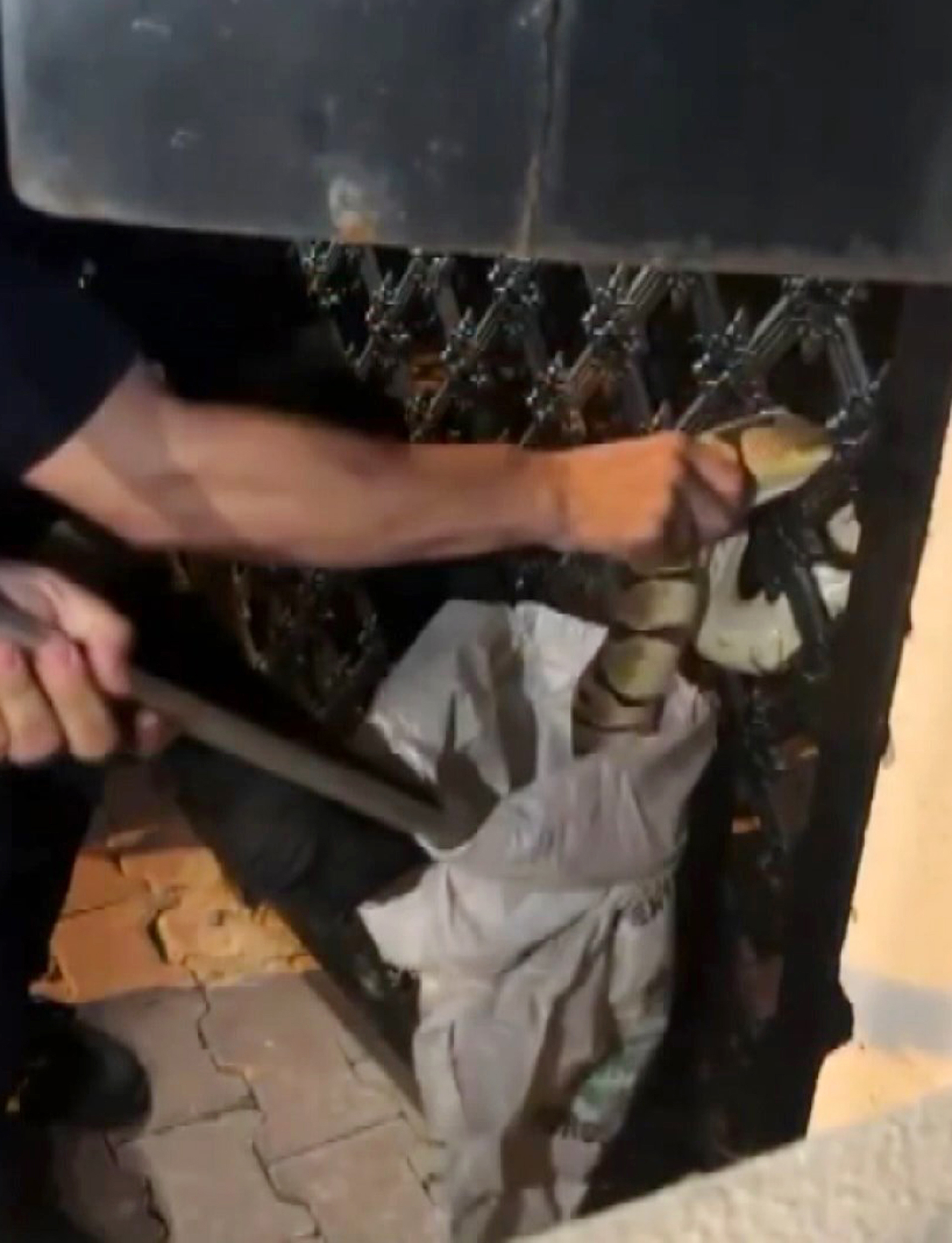 'Açıkta bırakılan süt yılanları cezbediyor' - Görsel 5