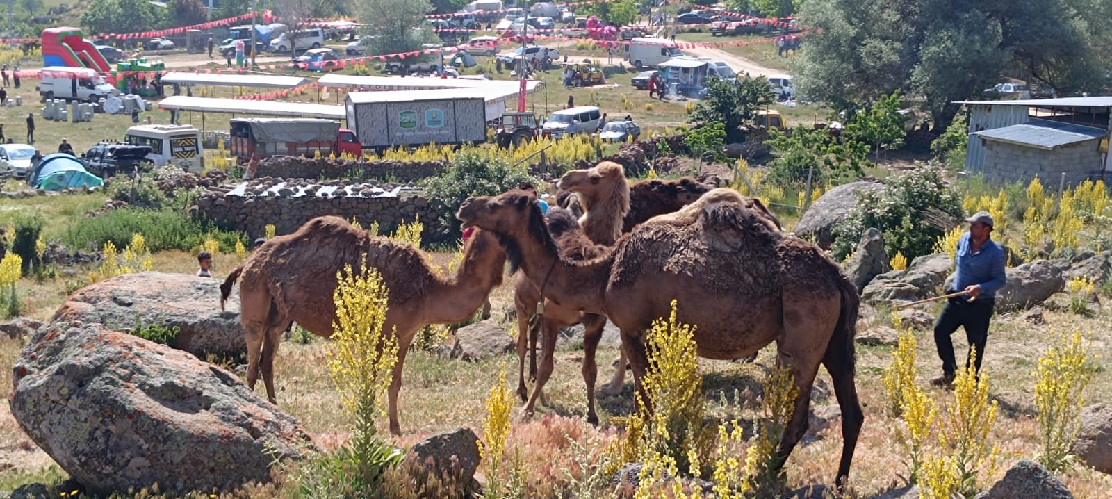 Gevrekli Mahallesi Geleneksel Yayla Şenliği Coşkuyla Kutlandı - Görsel 1