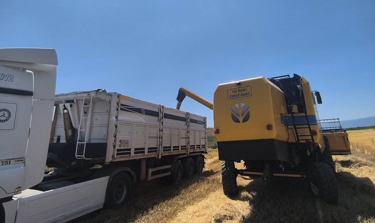 Seydişehir'de 2025 Arpa-Buğday Hasat Sezonu Bağra Mahallesi'nde Başladı - Görsel 2