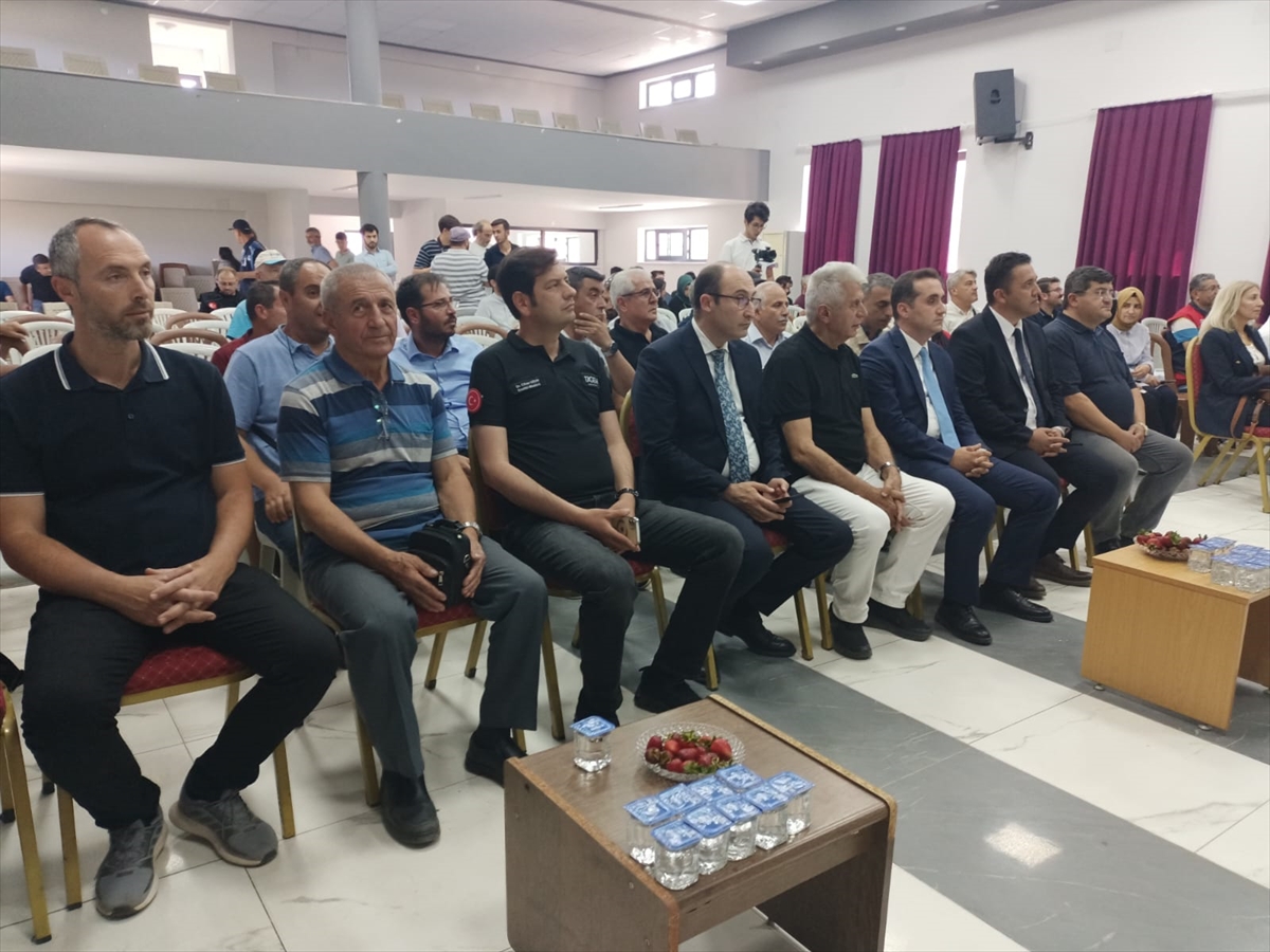 -Tarımın Başkenti Konya' Hüyük Çileği Üreticiye Umut Oluyor - Görsel 6