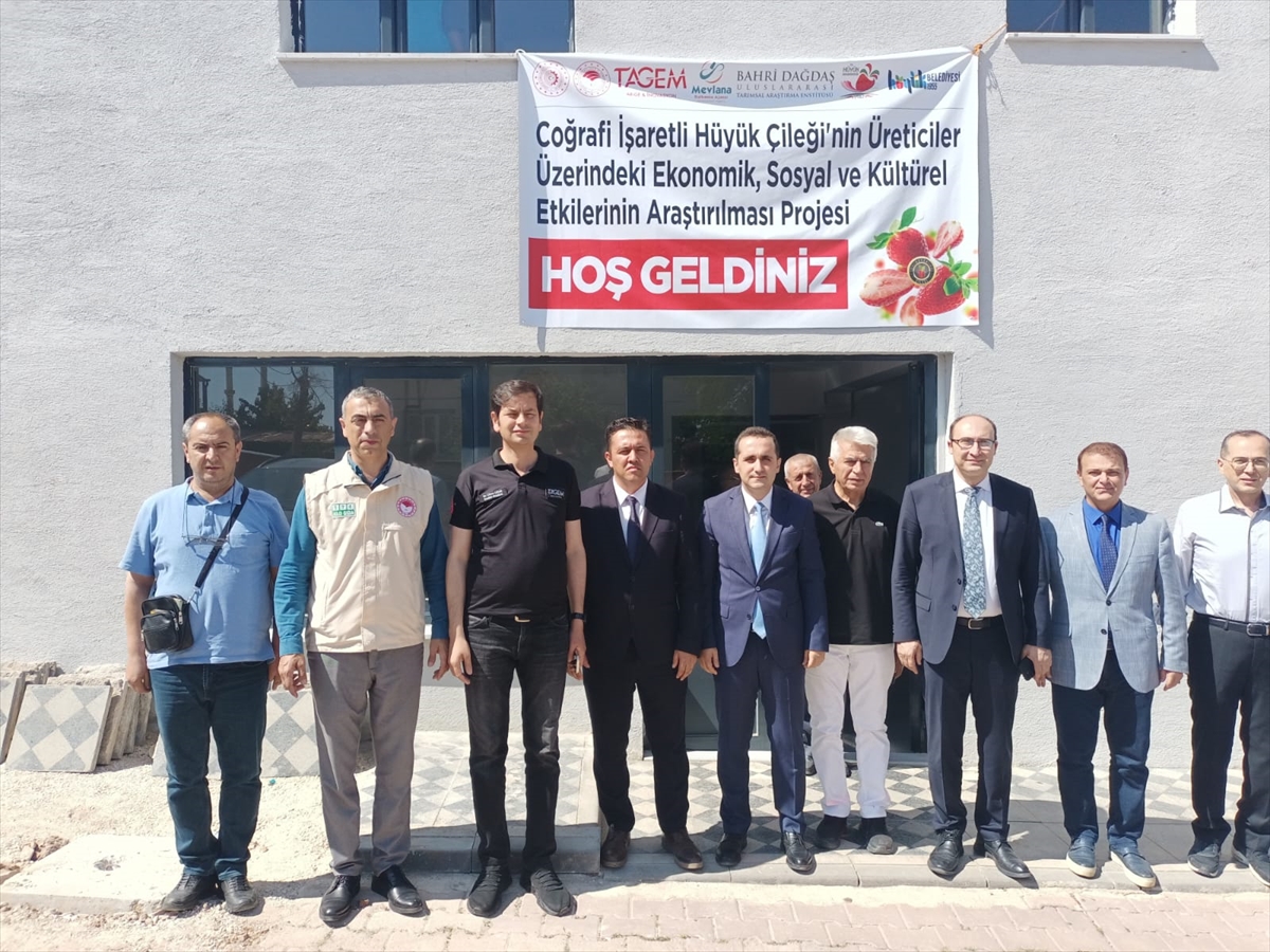 -Tarımın Başkenti Konya' Hüyük Çileği Üreticiye Umut Oluyor - Görsel 7