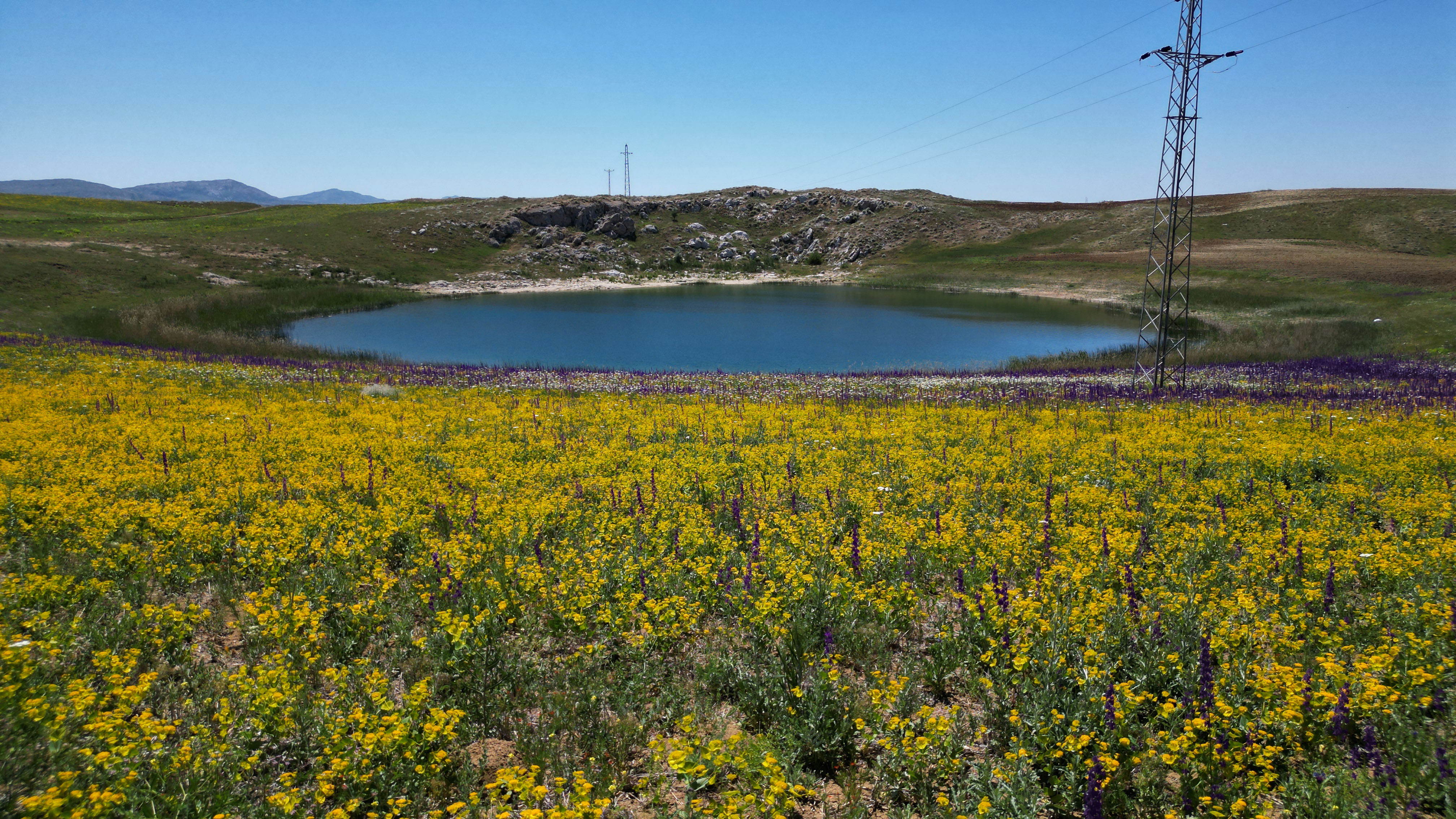 Sivas'ın nazar boncuğu göllerde 'renk' şöleni - Görsel 4