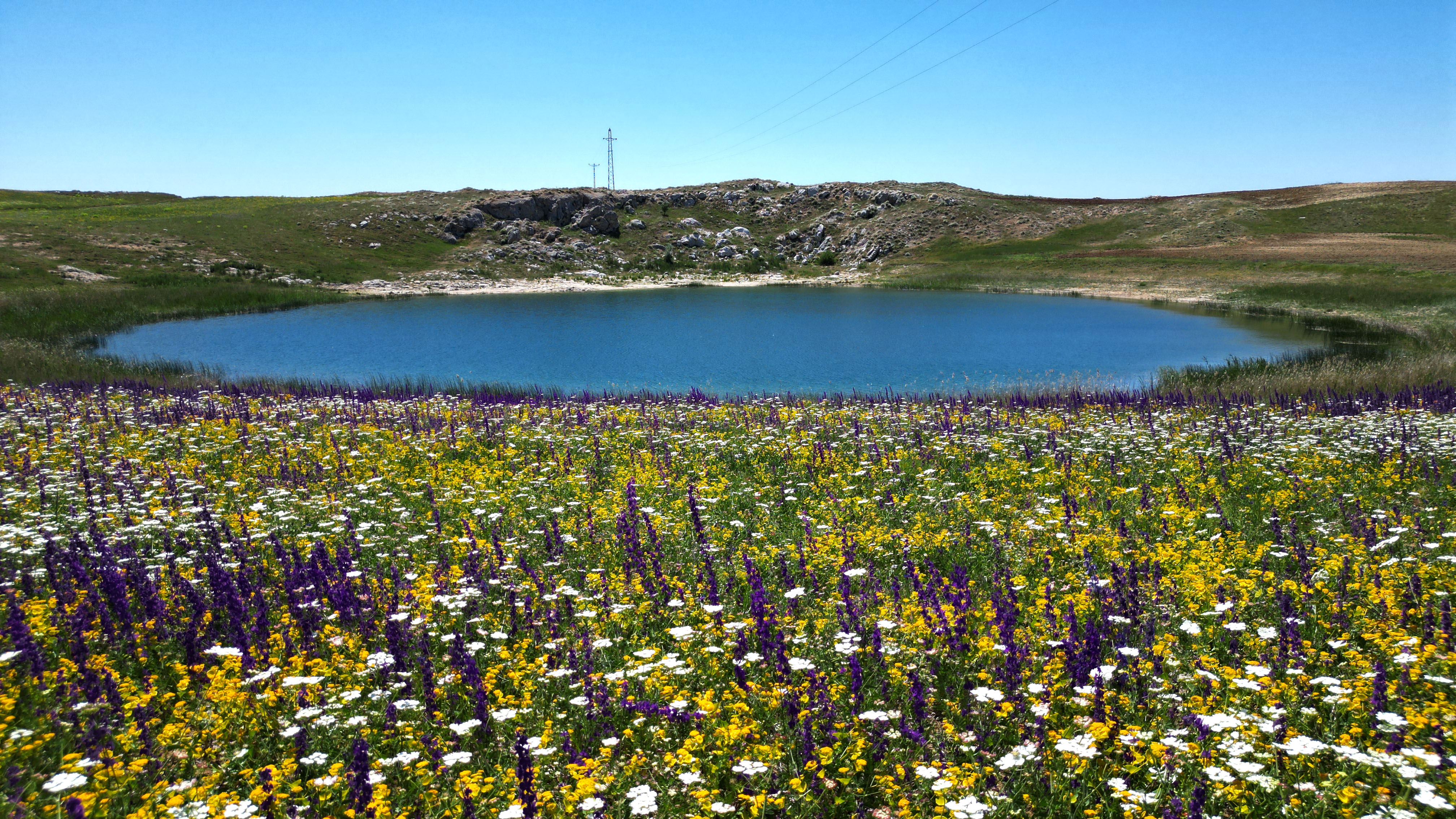 Sivas'ın nazar boncuğu göllerde 'renk' şöleni - Görsel 5