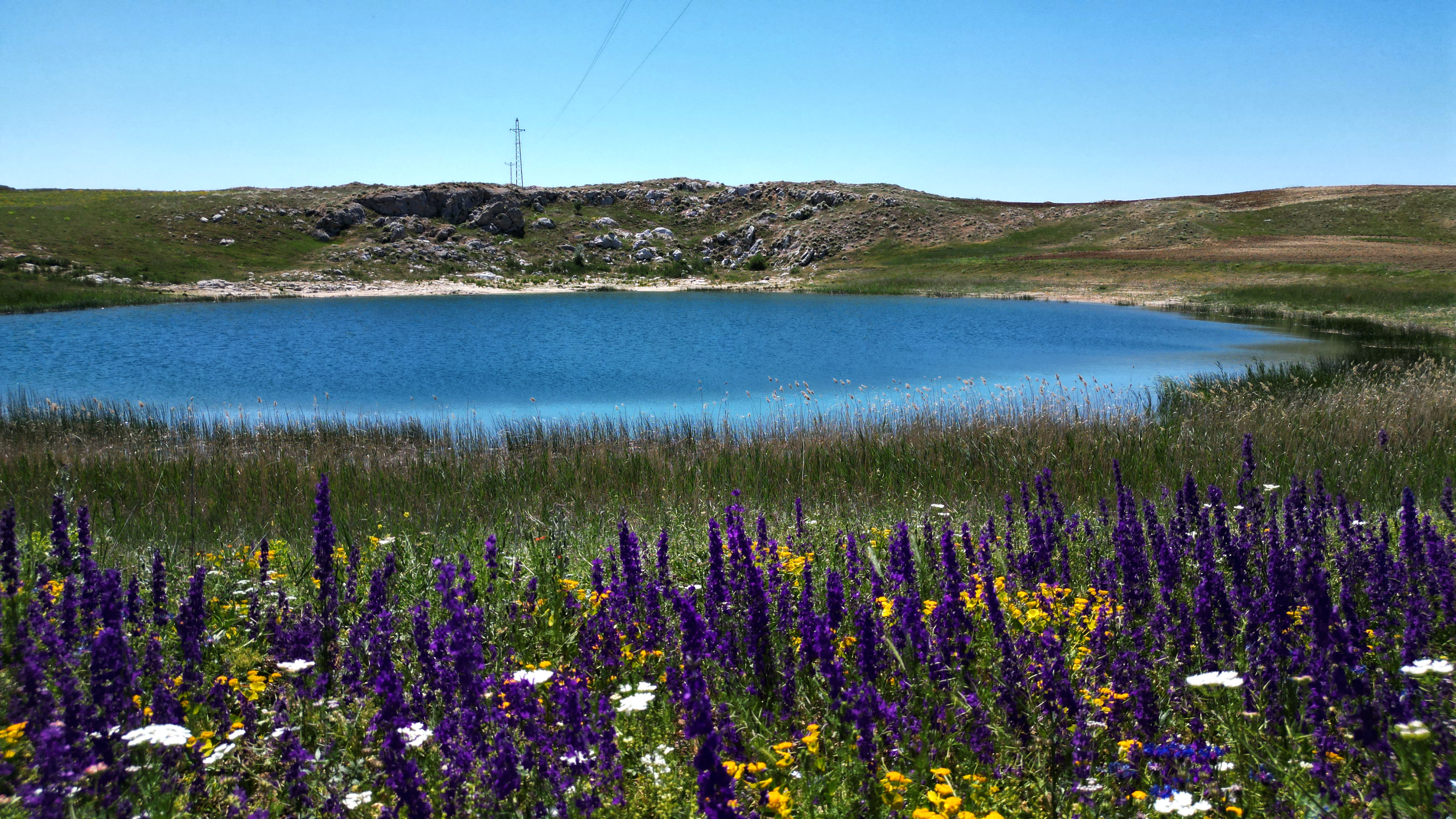Sivas'ın nazar boncuğu göllerde 'renk' şöleni - Görsel 9
