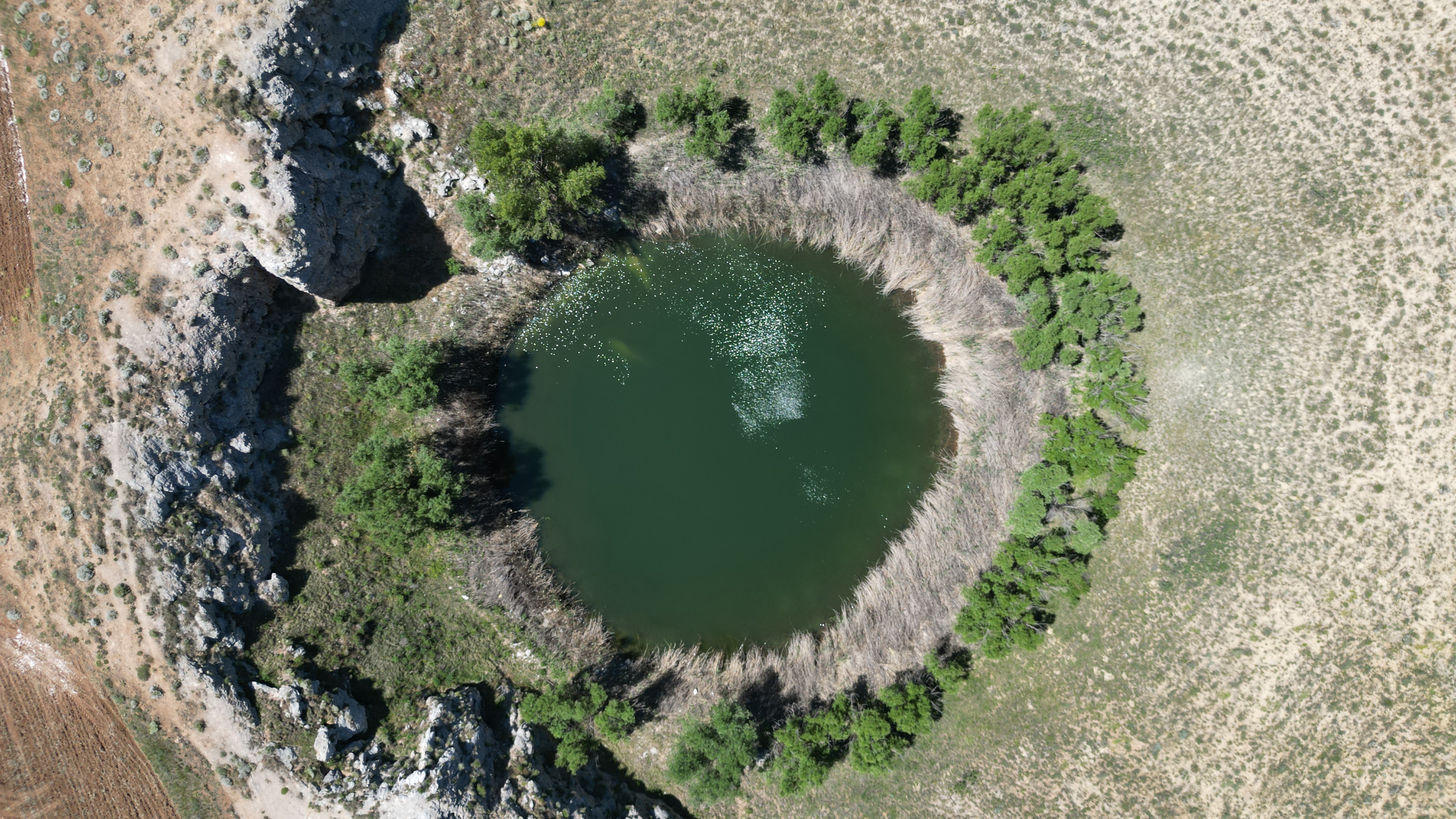 Sivas'ın nazar boncuğu göllerde 'renk' şöleni - Görsel 10