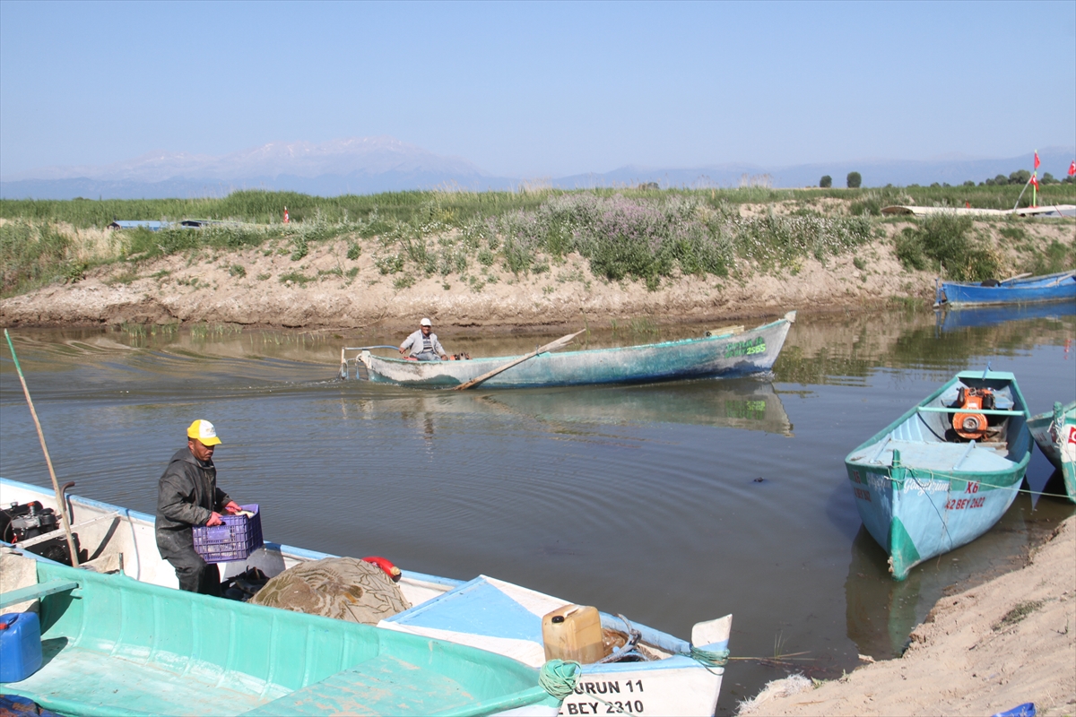  Konya'daki Beyşehir Gölü'nde yeni av sezonu başladı. - Görsel 1