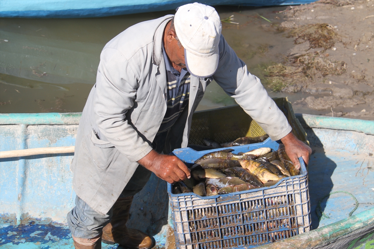  Konya'daki Beyşehir Gölü'nde yeni av sezonu başladı. - Görsel 4