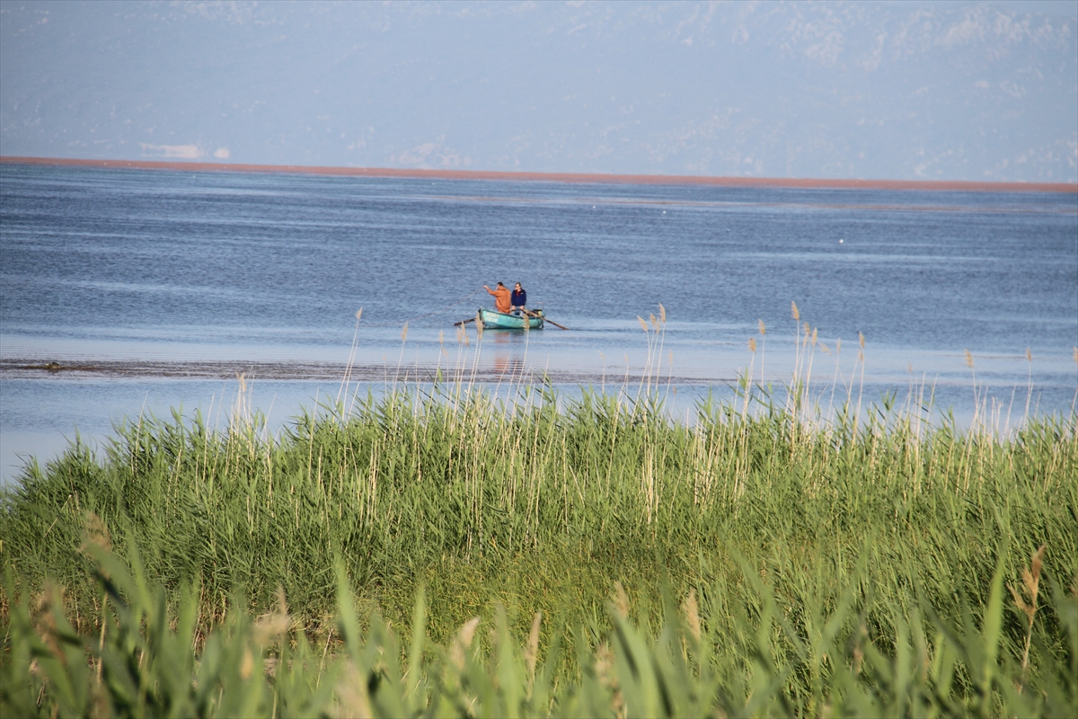  Konya'daki Beyşehir Gölü'nde yeni av sezonu başladı. - Görsel 6