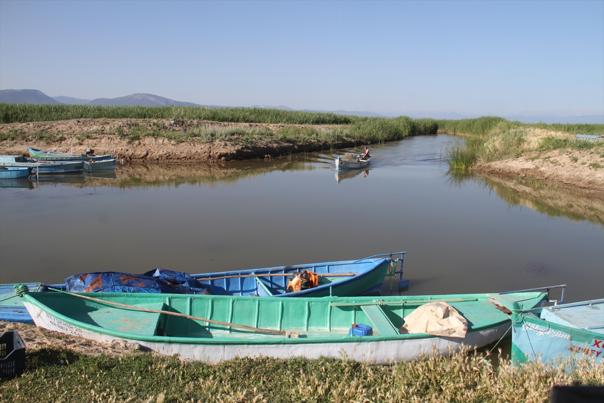  Konya'daki Beyşehir Gölü'nde yeni av sezonu başladı. - Görsel 8