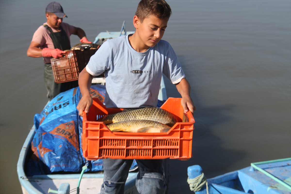  Konya'daki Beyşehir Gölü'nde yeni av sezonu başladı. - Görsel 9